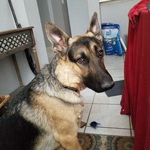 Meet your Posher, Merideth